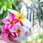 institut & spa éveil des sens oudon - soin massage visage fleurs de bali cinq mondes institut de beauté et spa - 2023